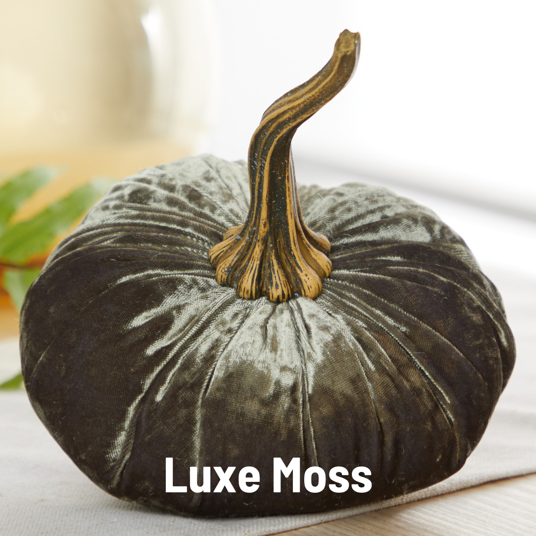 A luxurious velvet pumpkin in a rich dark green hue sits gracefully on a light fabric, ideal for enhancing your home decor with elegance. It boasts a textured brown stem. The label "Luxe Moss" is shown in white lettering at the bottom, accompanied by a blurred leaf and cream-colored item in the background.