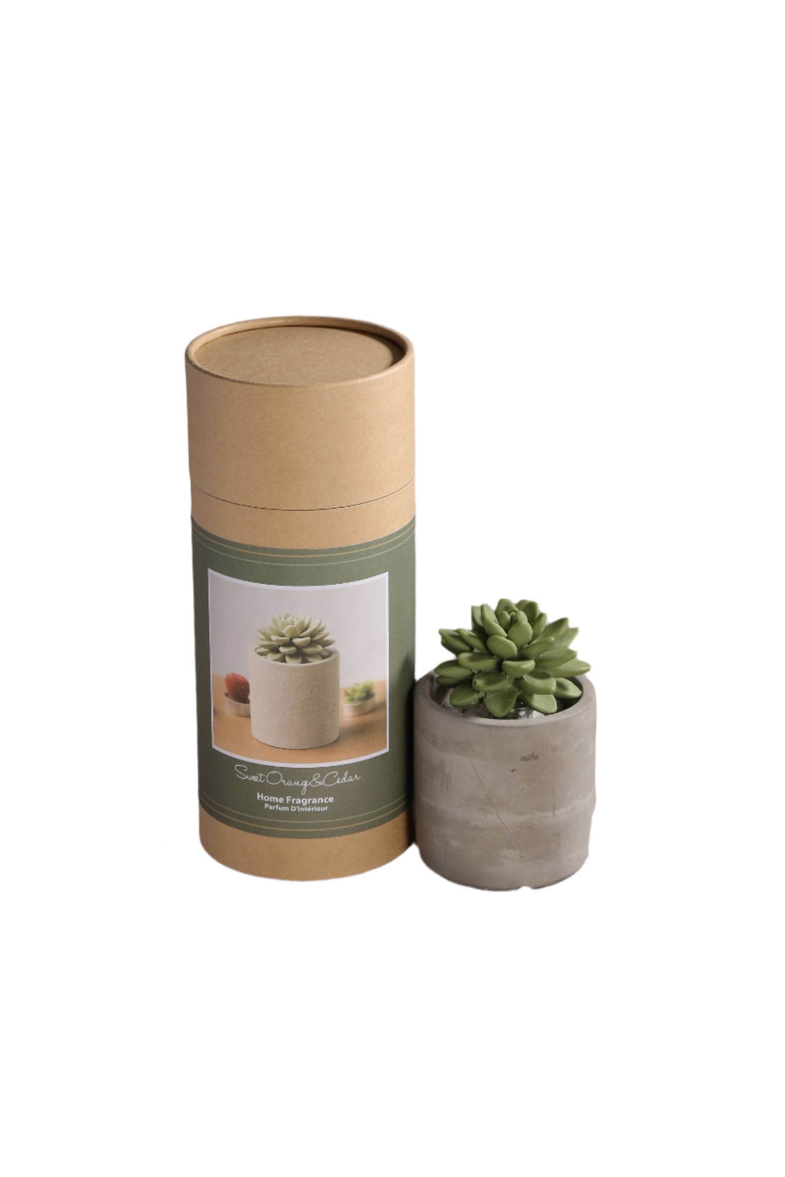 Succulent in Planter Diffuser Gift Set - Sweet Orange Cedar