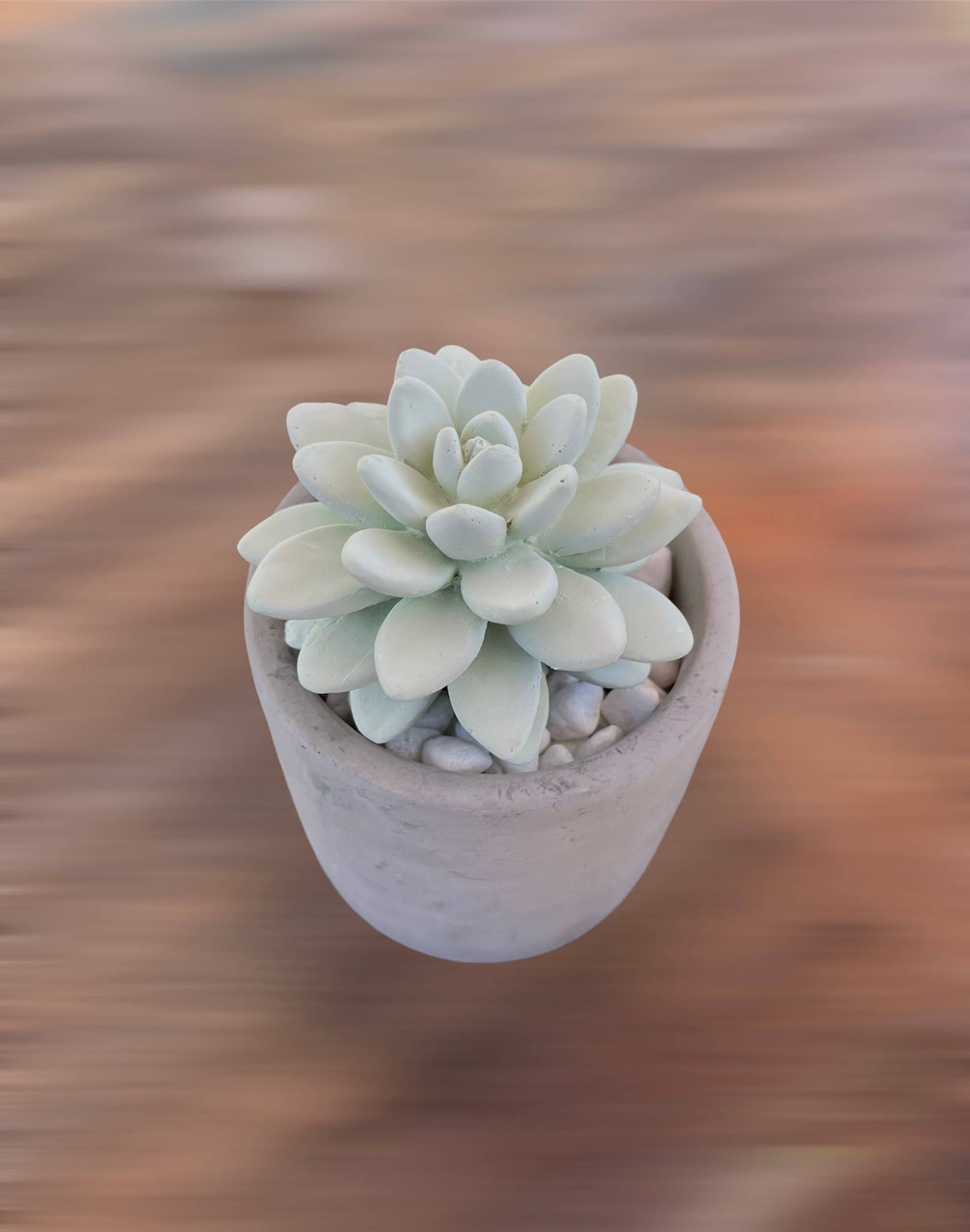 The Succulent in Planter Diffuser Gift Set - Sweet Orange Cedar includes a small, potted succulent with pale green, fleshy leaves arranged in a rosette pattern that diffuses a refreshing aroma into the air. The plant is placed in a simple, light-gray concrete pot filled with pebbles and set against a blurred background of warm earthy tones of brown and orange.