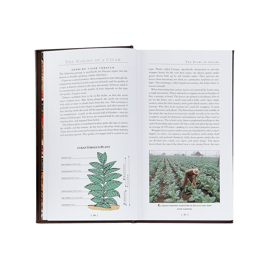 An open book, ideal for cigar enthusiasts, showcases two pages on cigar production. On the left page, there is an illustration of a Cuban tobacco plant with labeled parts. The right page features a photograph of someone working in a verdant tobacco field beneath a clear sky. This is truly The Cigar Companion (Brown Bonded Leather).
