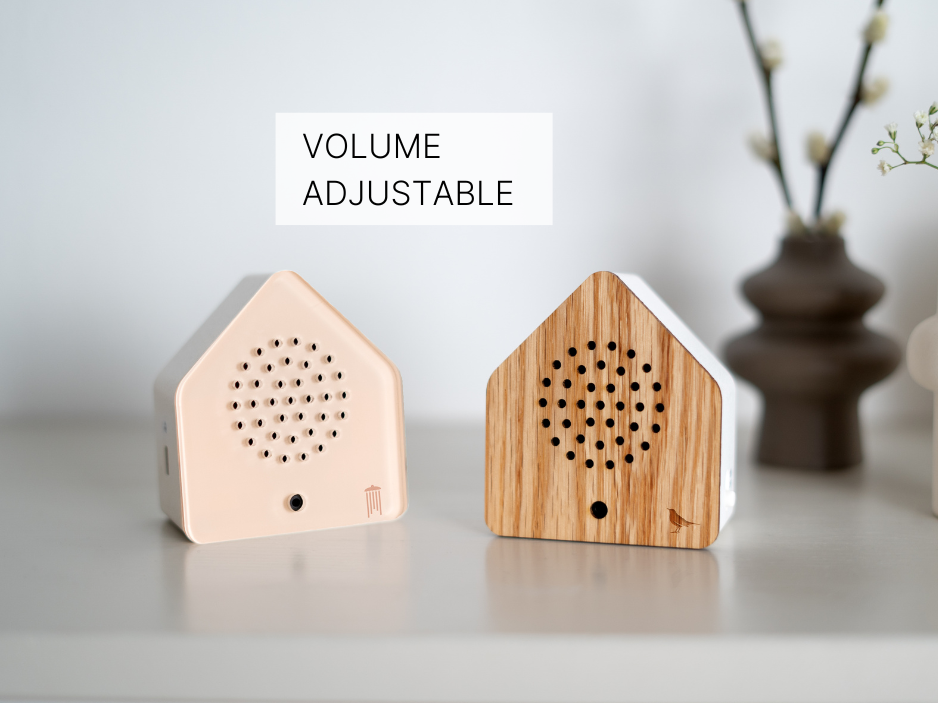 Motion Sensor Oak Birdsong Soundbox