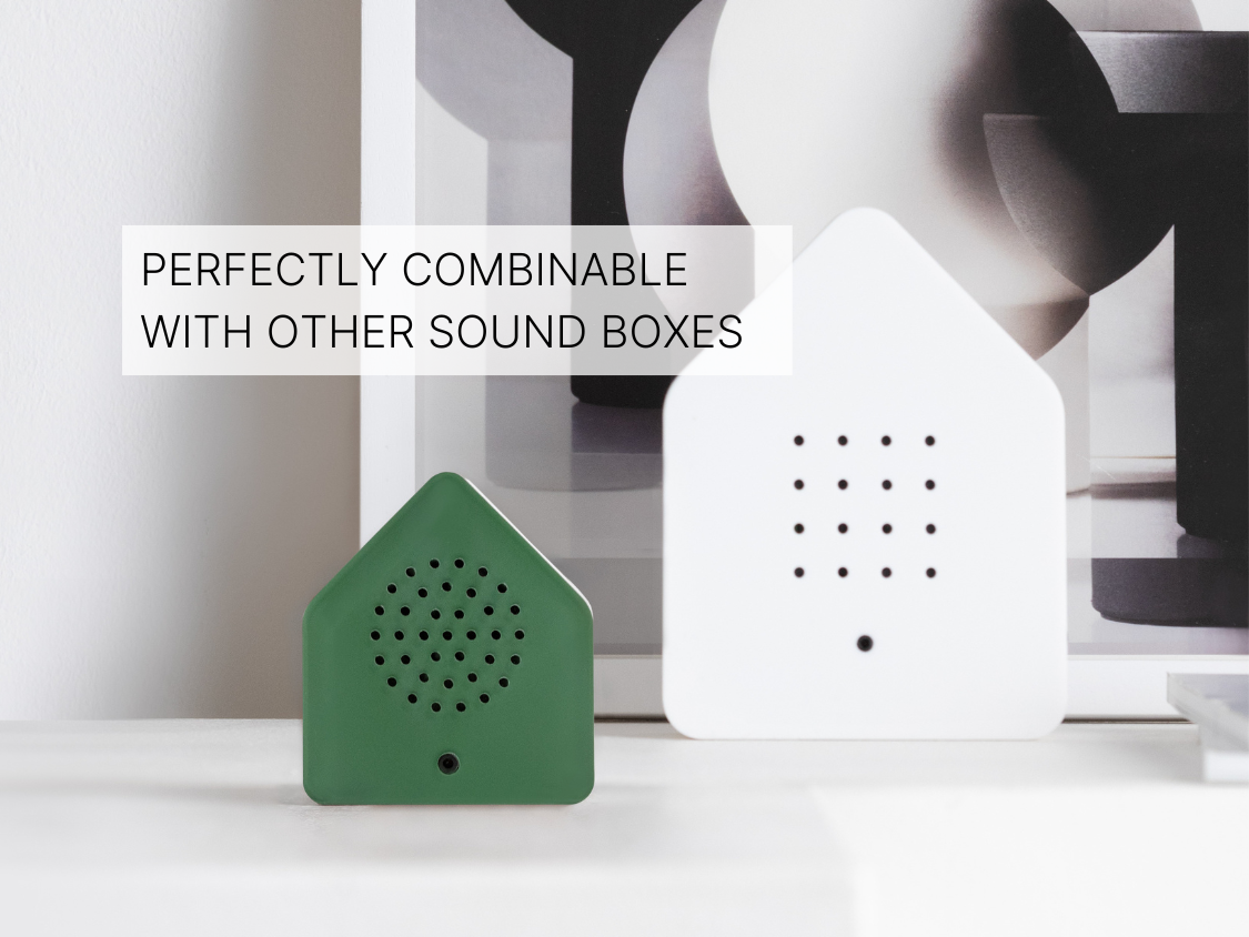 Motion Sensor Oak Birdsong Soundbox