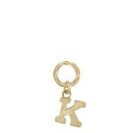 Load image into Gallery viewer, One Love Initial Charms
