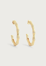 Load image into Gallery viewer, The Bamboo Single Hoop Earrings showcase a bamboo-inspired design with alternating textures made from 18k gold-dipped brass. These hoops are adorned with small, sparkling crystals arranged in a straight line along the bamboo sections, set against a plain, light backdrop to highlight their shine and intricate detail.
