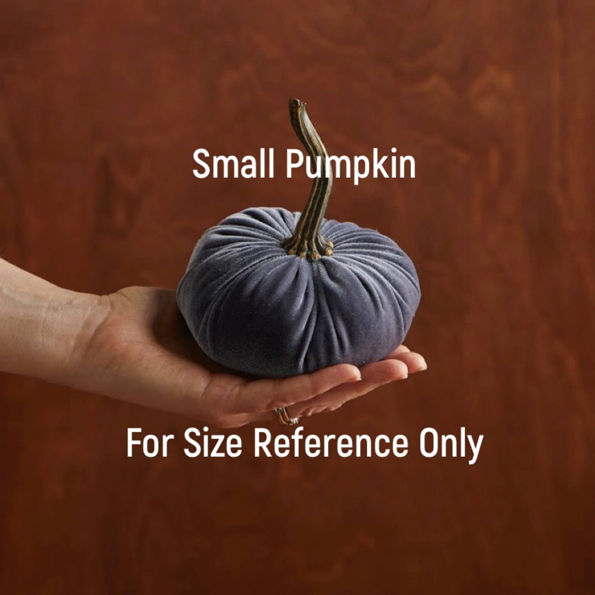 A hand gracefully holds a small, velvety pumpkin featuring a sleek texture and an elongated curved stem, ideal for autumn decor. The pumpkin is available in deep purple or dark gray, contrasting beautifully with the warm brown wooden background. &quot;Handmade Small Velvet Pumpkins&quot; is written above it, with &quot;For Size Reference Only&quot; below.
