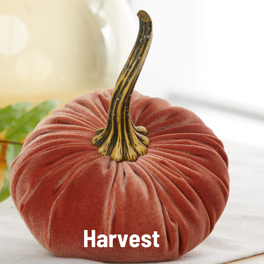 A Handmade Large Velvet Pumpkin, capturing the essence of velvet artistry, showcases a ribbed texture and a long, striped stem set against a soft, blurred background. The word "Harvest" in white lettering beautifully conveys the charm of fall decorating.