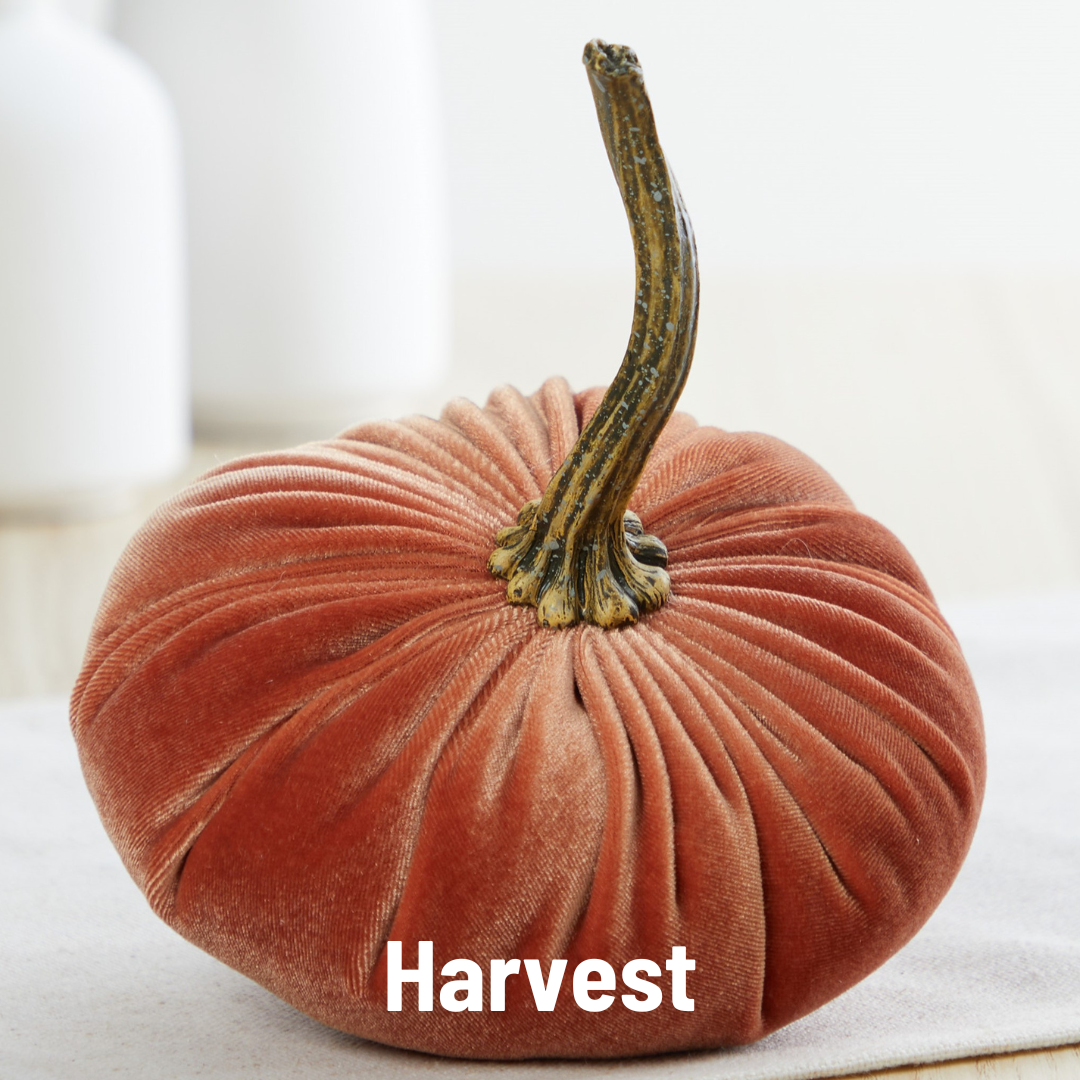 A Handmade Small Velvet Pumpkin, ideal for fall decorating, features a textured velvet surface and a long, twisted stem resting on a light background. The word "Harvest" is elegantly inscribed at the base in white text. Behind it, two blurred white vases complement the autumnal or Thanksgiving ambiance.