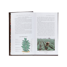 Load image into Gallery viewer, An open book, ideal for cigar enthusiasts, showcases two pages on cigar production. On the left page, there is an illustration of a Cuban tobacco plant with labeled parts. The right page features a photograph of someone working in a verdant tobacco field beneath a clear sky. This is truly The Cigar Companion (Brown Bonded Leather).
