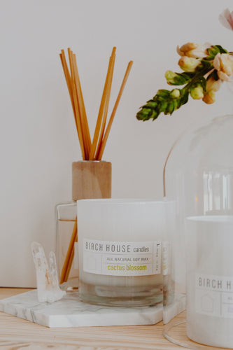 A Cactus Blossom Candle by Birch House, in white soy wax, rests on a marble tray emitting a botanical scent. Behind it are a glass diffuser with brown reeds and a flower vase. Another candle on the right is partially covered by a glass cloche against a neutral beige background.